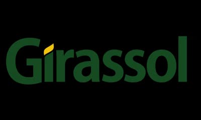 Grupo Girassol